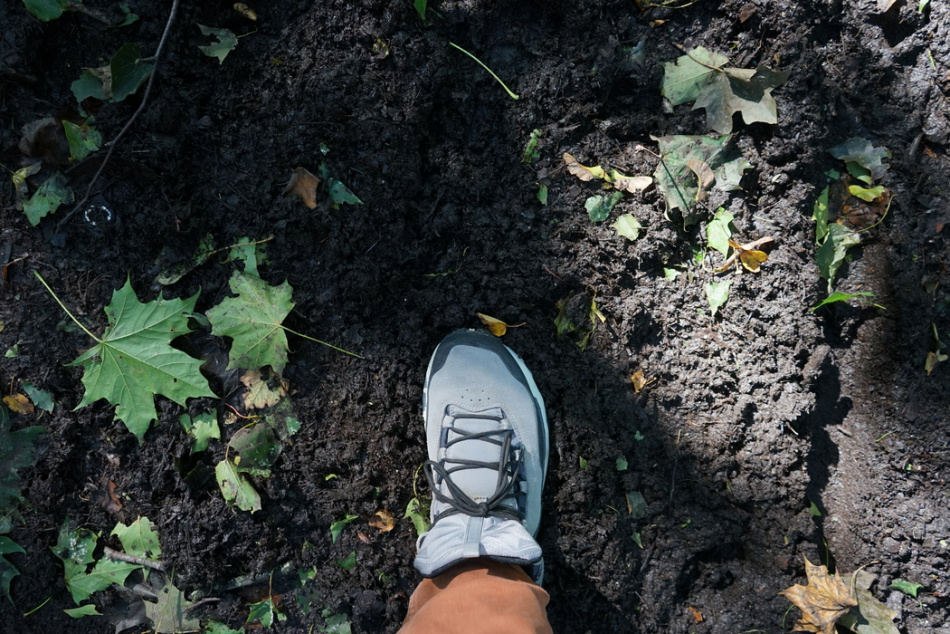 В Карелии задержали молодую женщину из Ленобласти после недельных поисков